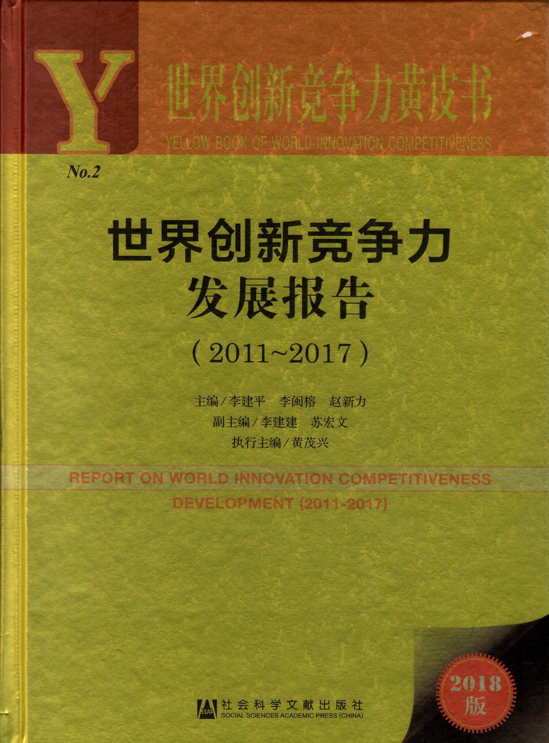 去看屄网世界创新竞争力发展报告（2011-2017）