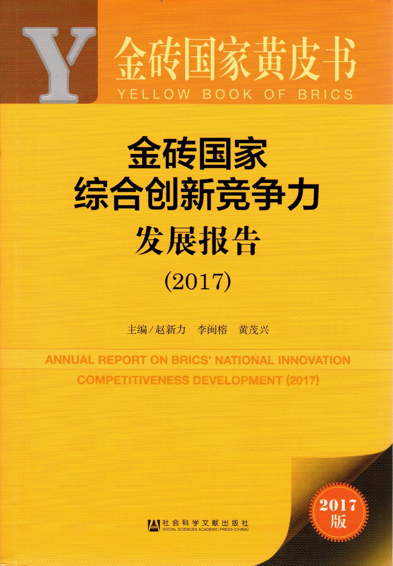 男人的大鸡巴插入女人的小穴里面费网站金砖国家综合创新竞争力发展报告（2017）